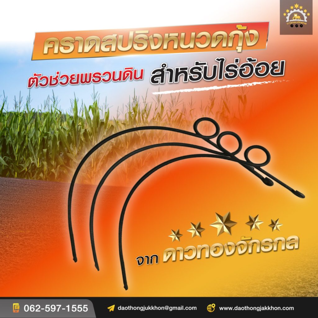 คาดสปริงหนวดกุ้ง